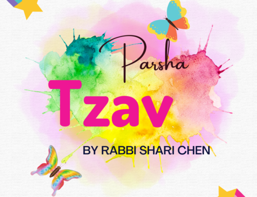 Parsha Tzav